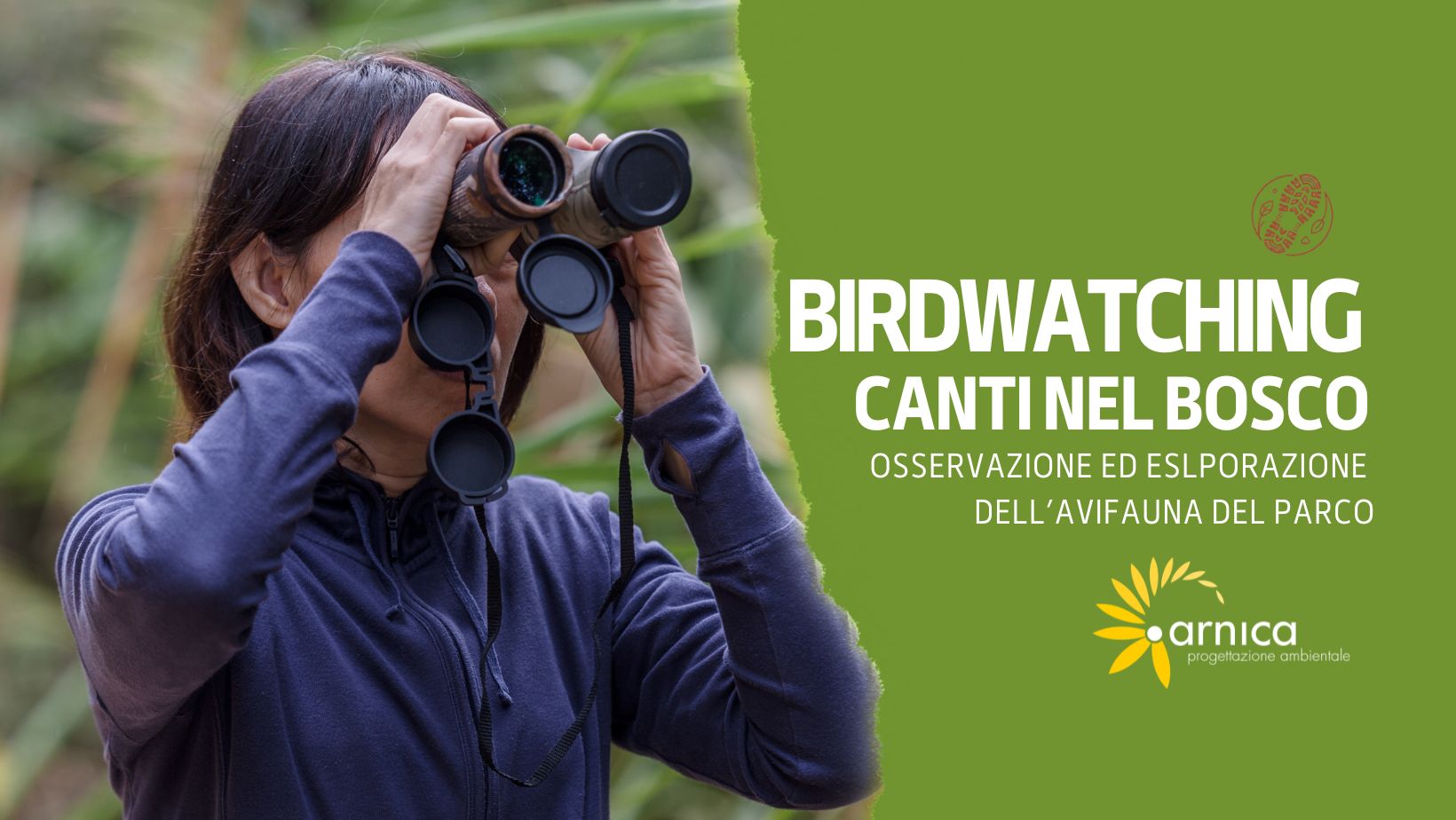 BIRDWATCHING – CANTI NEL BOSCO